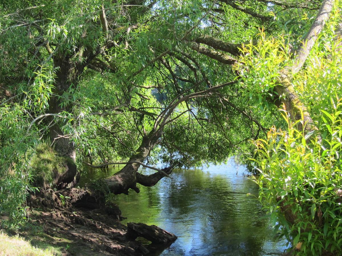 Tamahere On The River מראה חיצוני תמונה
